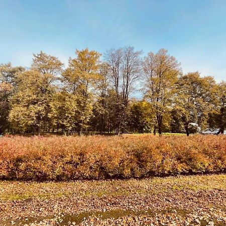 Apartamenty Ktw Debowe Tarasy Katowice Esterno foto